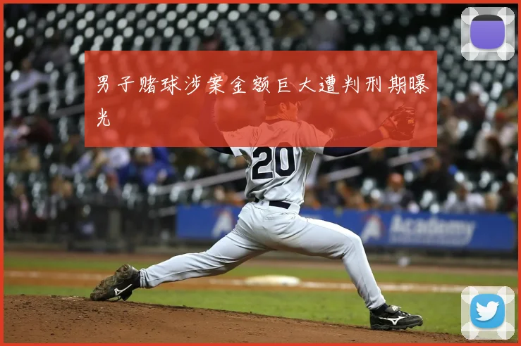 男子赌球涉案金额巨大遭判刑期曝光