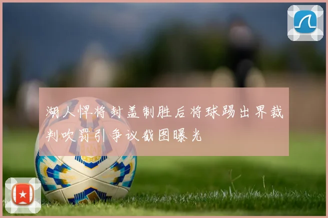 湖人悍将封盖制胜后将球踢出界裁判吹罚引争议截图曝光