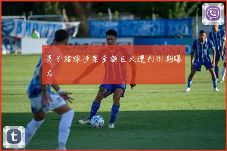 男子赌球涉案金额巨大遭判刑期曝光