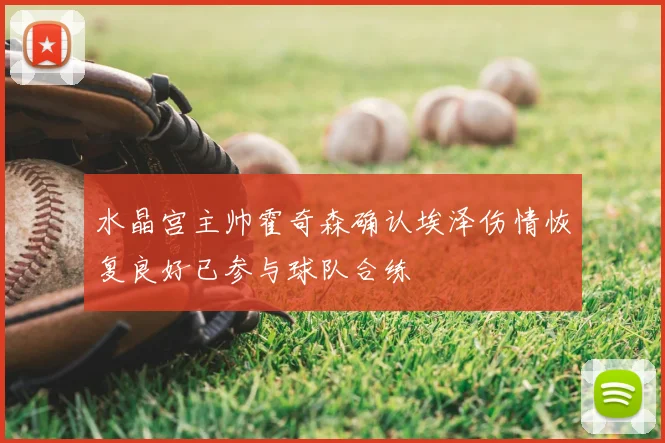 水晶宫主帅霍奇森确认埃泽伤情恢复良好已参与球队合练