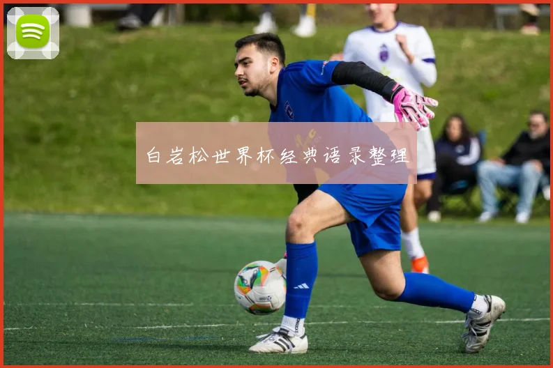 白岩松世界杯经典语录整理